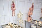 Laboratório de Anatomia